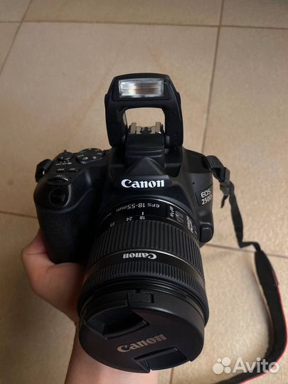Фотоаппарат canon eos 250d
