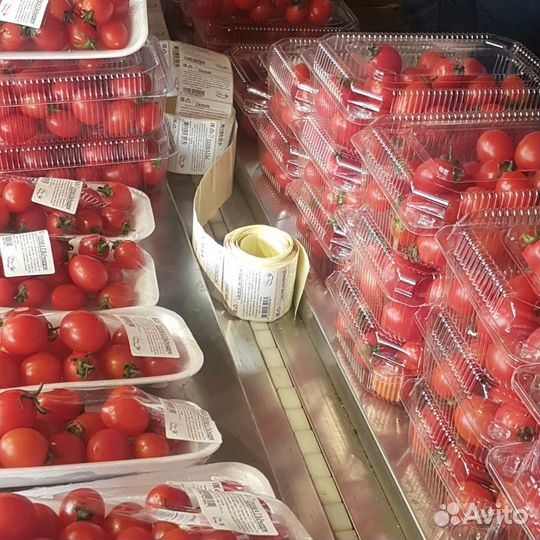 Соевые ростки очищенные Овощи, фрукты, зелень