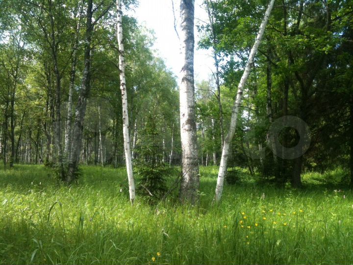 Участок 8,4 сот. (СНТ, ДНП)