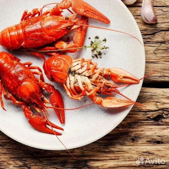 Живые раки Зеленоград