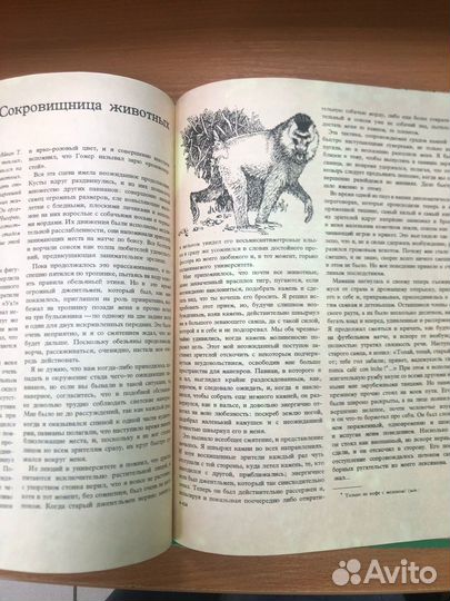 Нейпье. Обезьяны. Удивительный мир диких животных