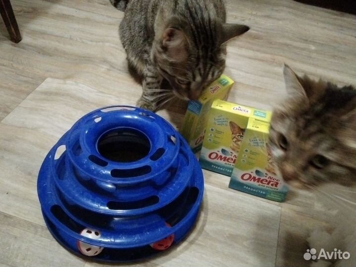 Игрушка для кошек, в подарок витамины бронь