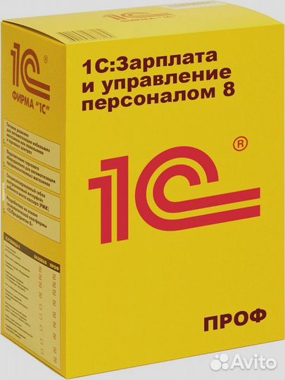 Зарплата и управление персоналом. Проф версия