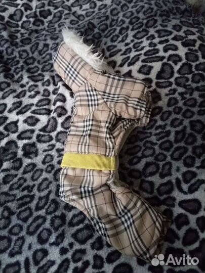 Костюм для собак мелких пород