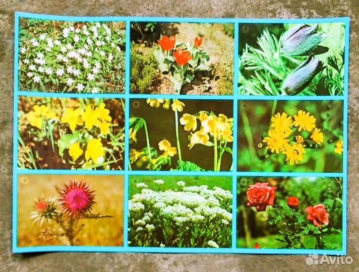 Настольная детская игра СССР Лото Цветы новая