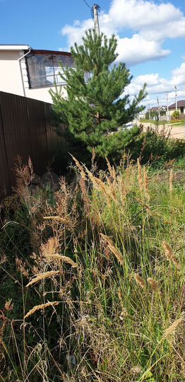 Дом 21 м² на участке 6 сот.