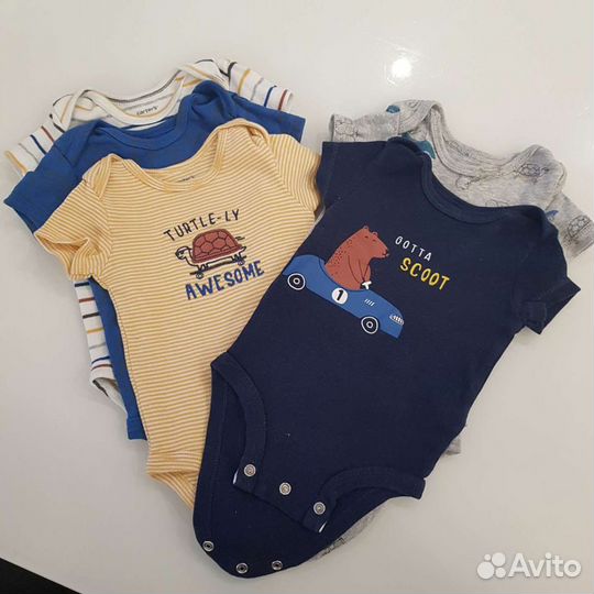 Боди Carters
