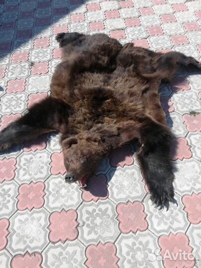 Шкура медведя искусственная ковер