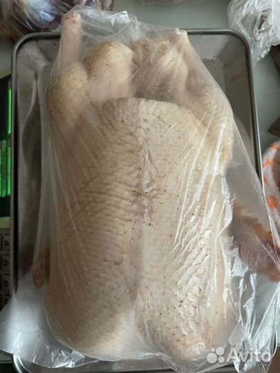 Продам мясо утки