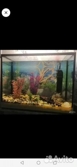 Аквариум 100л