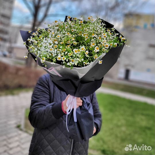 Хризантемы Цветы Букет