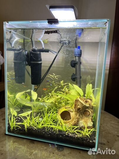 Аквариум 30л с рыбками