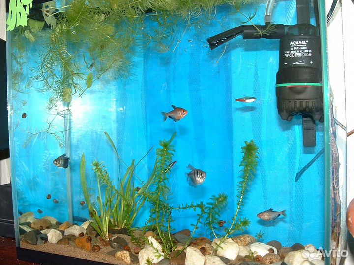 Фильтр для воды