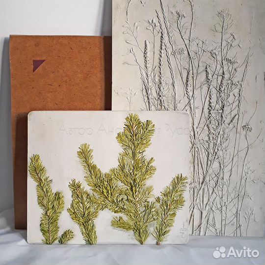 Ботанический барельеф 