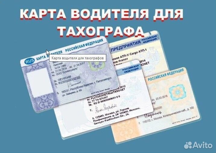 Карта водителя Euro