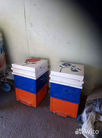 Улики 12 рамочные 2 корпуса на 300