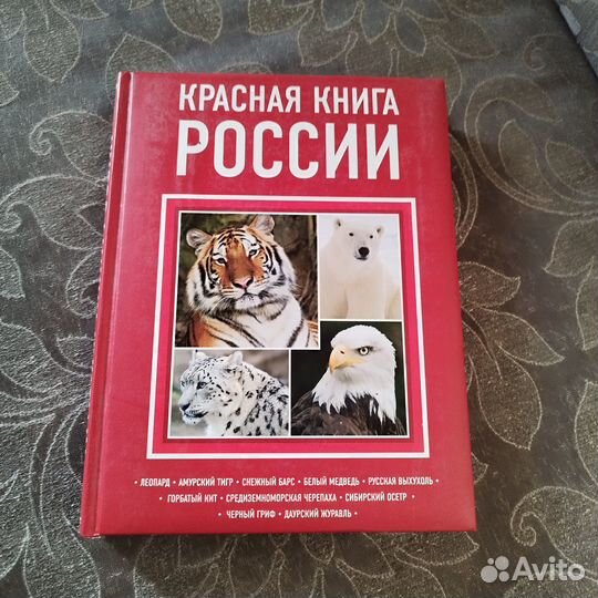 Книги интересные