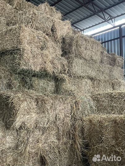 Сено в тюках (разнотравье)