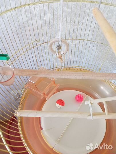 Клетка для попугая корелла
