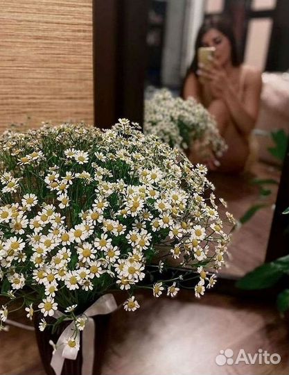 Доставка цветов. Ромашки