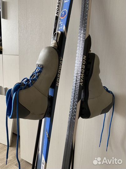 Беговые лыжи