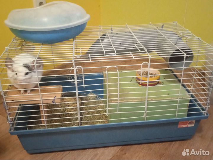 Клетка для кролика или шиншиллы