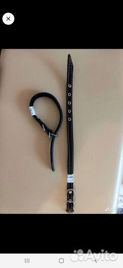 Ошейники для собак