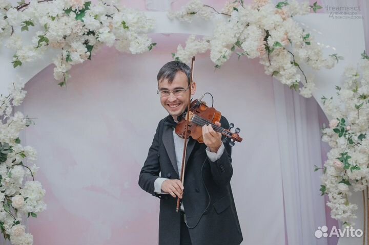 Скрипач Музыкант Живая музыка скрипка