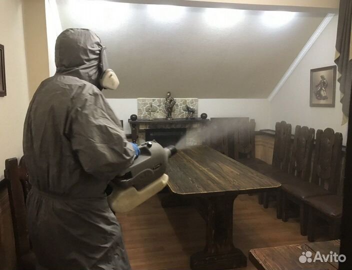 Уничтожение тараканов/клопов/клещей/кротов/крыс