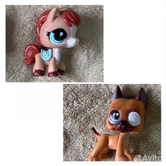 Петшопы дог и лошадь