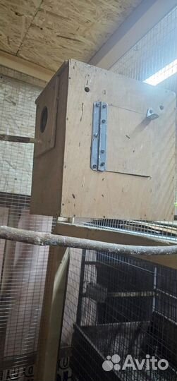 Гнездовой домик для попугаев