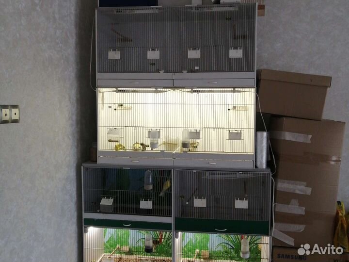 Боксы для птиц