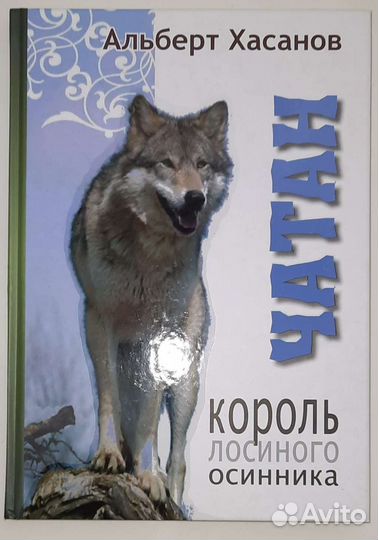 Книга Альберта Хасанова 