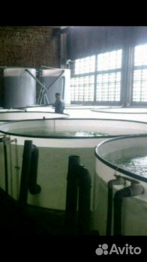 Бассейны для рыб (узв)