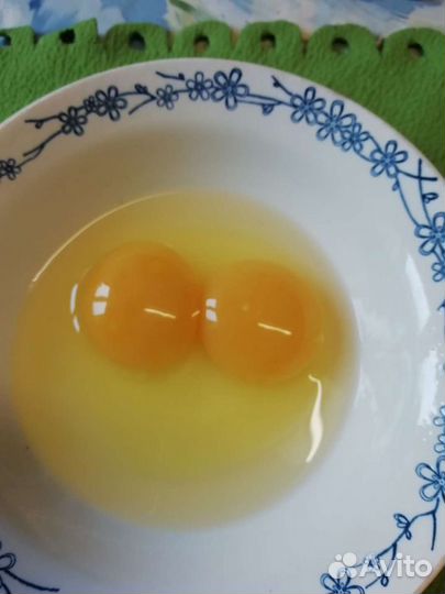 Яйца домашние куриные