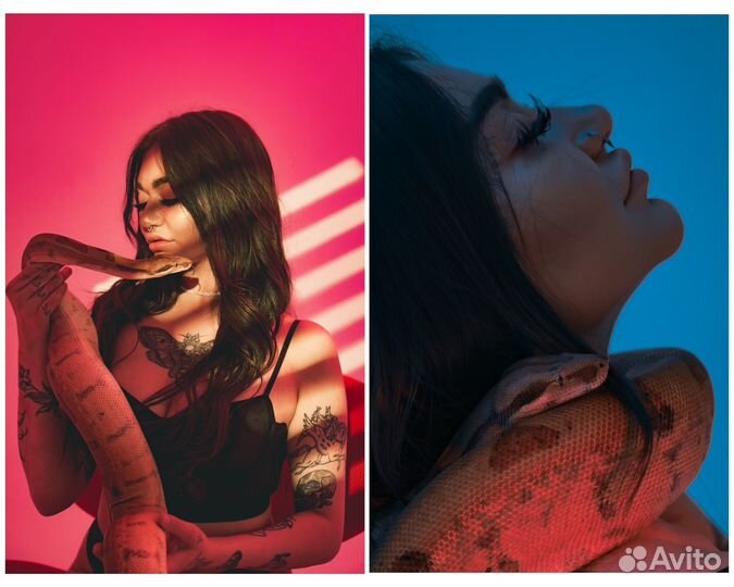 Фотограф, студийная фотосессия, съемка со змеей