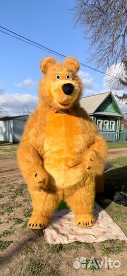 Поздравление от панды и бурого мишки