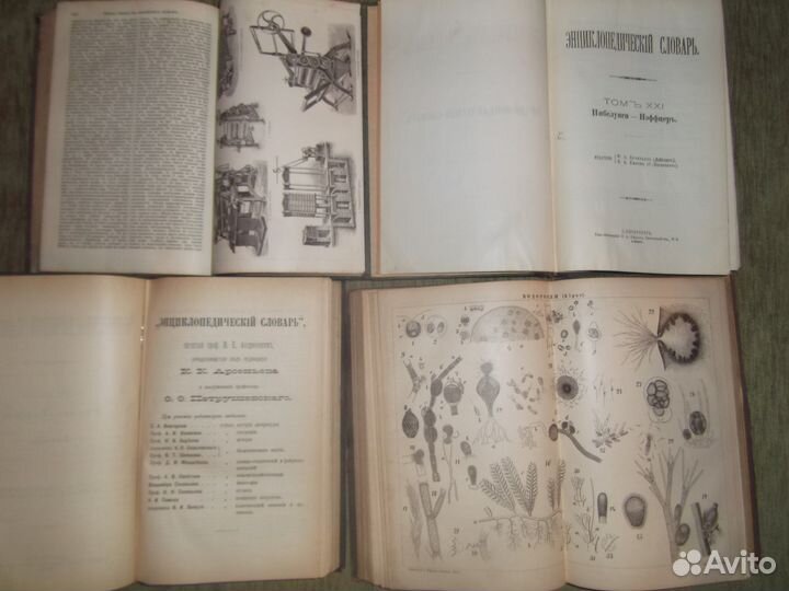 Энциклопедический словарь Брокгауза и Ефрона 1890г
