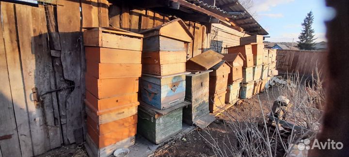 Продам ульи для пчел