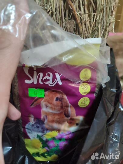 Декоративный кролик с клеткой