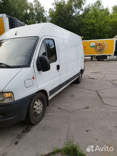 FIAT Ducato цельнометаллический, 2009