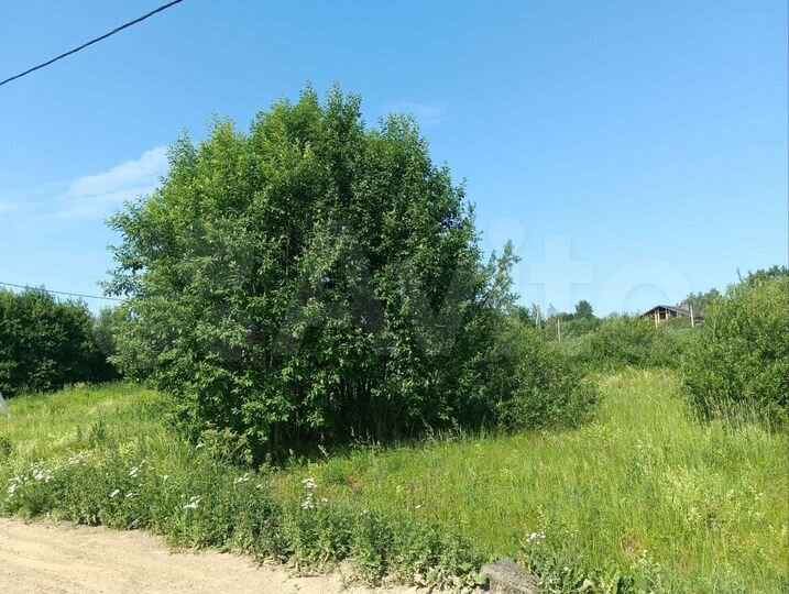 Участок 10,9 сот. (СНТ, ДНП)