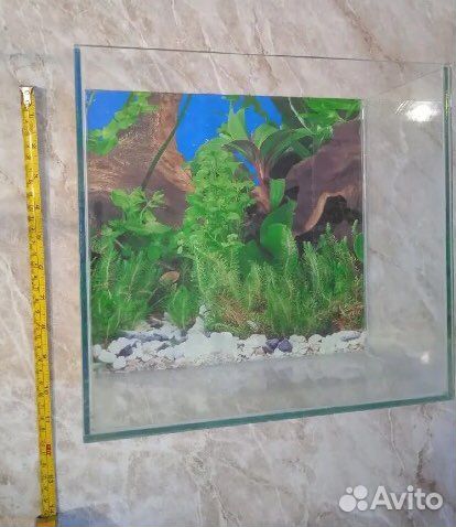 Аквариум и аксессуары