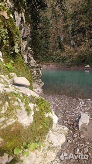 Экскурсии по Сочи и Красной Поляне. Абхазия