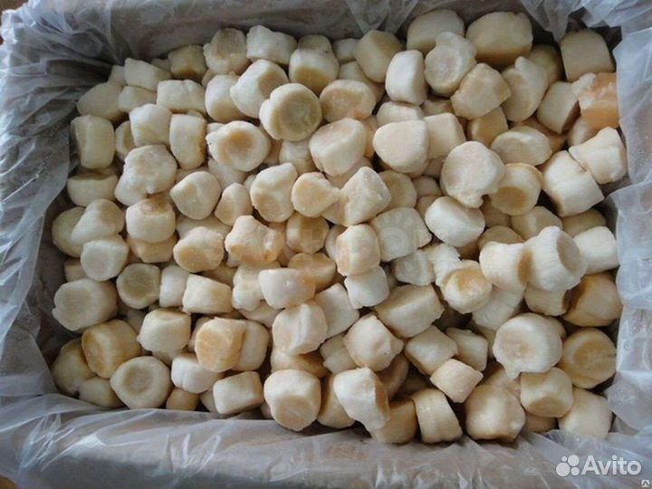 Гребешок филе