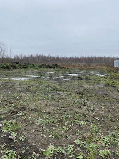 Участок 15 га (ИЖС)