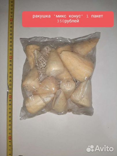 Ракушка в ассортименте