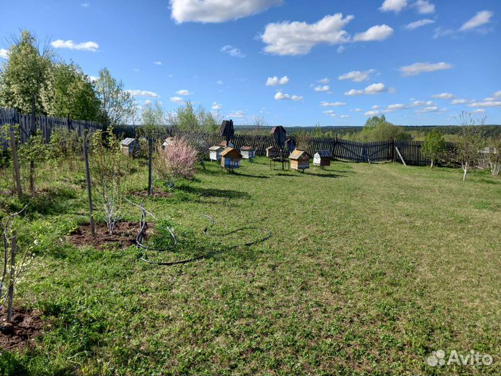 Ульи для пчел