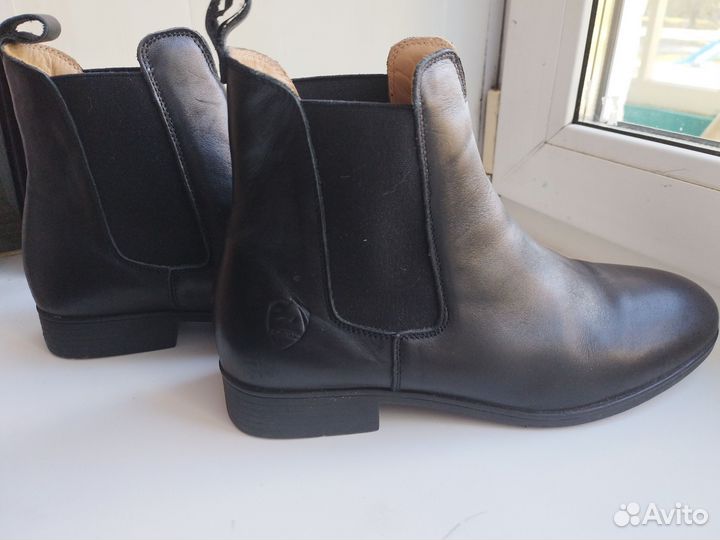 Амуниция для занятий конным спортом