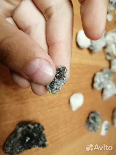 Окаменелости, красивые камни, кварц